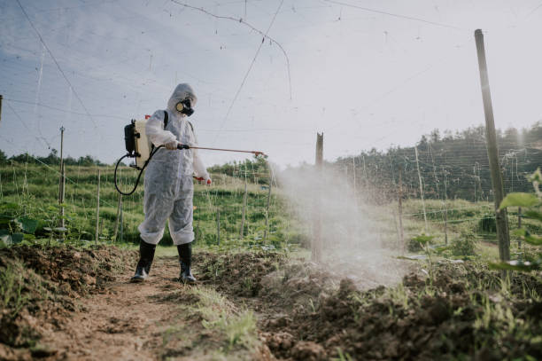 Best Commercial Pest Control Services  in White Cloud, MI