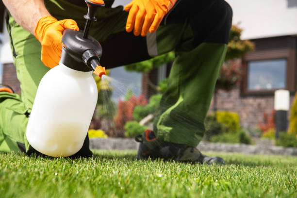 Best Wasp Removal Services  in White Cloud, MI