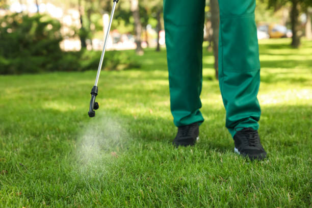 Best Affordable Pest Control Services  in White Cloud, MI