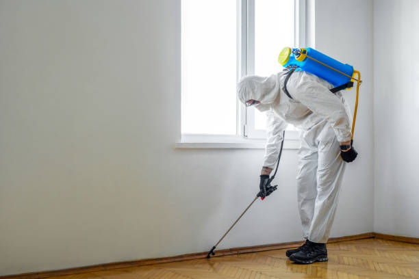 Best Local Pest Control Services  in White Cloud, MI