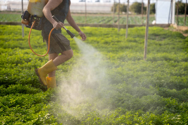 Best Best Pest Control Companies  in White Cloud, MI