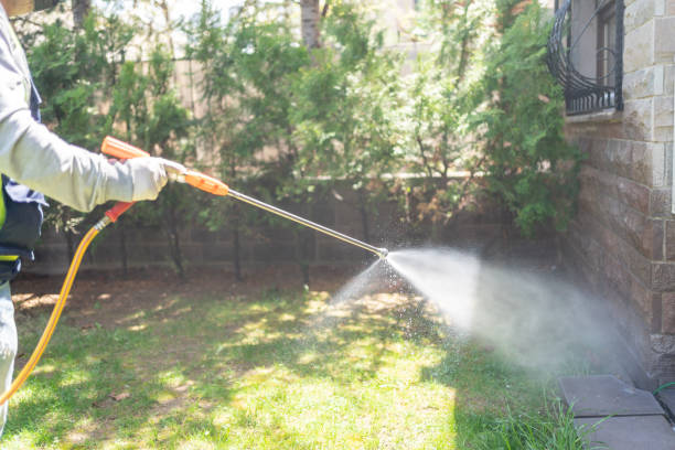 Best Residential Pest Control  in White Cloud, MI