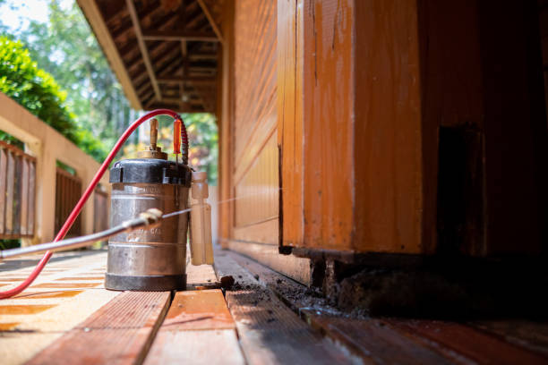 Best Pest Removal Services  in White Cloud, MI