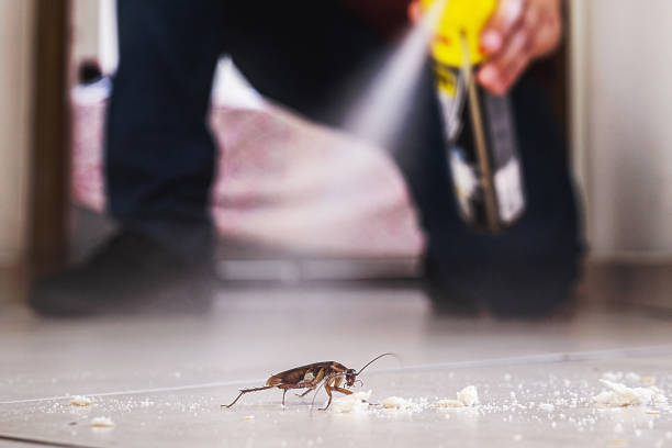 Best Best Pest Control Near Me  in White Cloud, MI