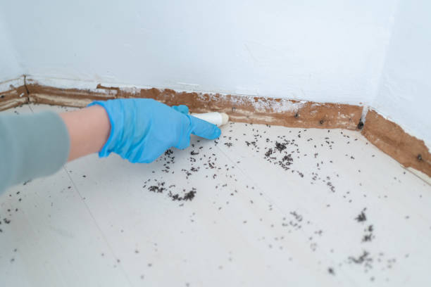 Best Wildlife Control Services  in White Cloud, MI